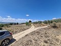 16,200m2 of land in Sax - Santa Eulalia in Spanish Fincas