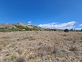 16,200m2 of land in Sax - Santa Eulalia in Spanish Fincas