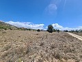 16,200m2 of land in Sax - Santa Eulalia in Spanish Fincas