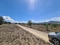 16,200m2 of land in Sax - Santa Eulalia in Spanish Fincas