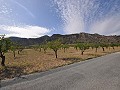 Legales Baugrundstück mit Stadtwasser und Strom in Salinas bei Sax in Spanish Fincas