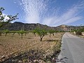 Legales Baugrundstück mit Stadtwasser und Strom in Salinas bei Sax in Spanish Fincas