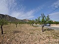 Legal Building Plot with mains water and electric in Salinas close to Sax in Spanish Fincas