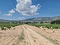 2 Parzellen in Salinas mit Wasser und Strom in Spanish Fincas