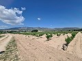 2 Parzellen in Salinas mit Wasser und Strom in Spanish Fincas