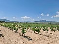 2 Parzellen in Salinas mit Wasser und Strom in Spanish Fincas