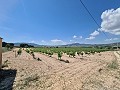 2 Parcels in Salinas with water and electricity in Spanish Fincas