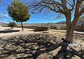 Wunderschönes 140 Jahre altes Bauernhaus in Salinas in Spanish Fincas