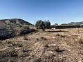 Villa spacieuse avec de superbes vues et à distance de marche de La Romana in Spanish Fincas