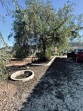 Geräumige Villa mit toller Aussicht und nur wenige Gehminuten von La Romana entfernt in Spanish Fincas