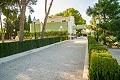 Chalet de lujo en Aspe muy cerca del pueblo, con piscina in Spanish Fincas