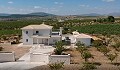 Villas de ensueño de nueva construcción en la hermosa campiña de Alicante in Spanish Fincas