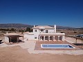 Beautiful new villa for sale in Pinoso in Spanish Fincas