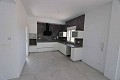 New build villa in Pinoso Alicante in Spanish Fincas