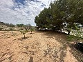 Superbe villa à Pinoso in Spanish Fincas