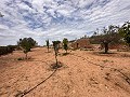 Erstaunliche Villa in Pinoso in Spanish Fincas