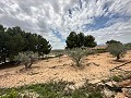 Superbe villa à Pinoso in Spanish Fincas