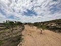 Amazing villa in Pinoso  in Spanish Fincas