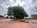 Superbe villa à Pinoso in Spanish Fincas