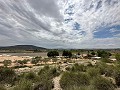 Superbe villa à Pinoso in Spanish Fincas