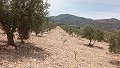 Baugrundstück in Salinas mit Strom in der Nähe und Wasser in Spanish Fincas