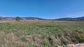 Terrain à bâtir à Salinas avec électricité à proximité et eau in Spanish Fincas