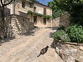 Villa avec 4 chambres et grande piscine dans un endroit magnifique in Spanish Fincas