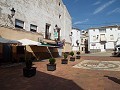 Gerenoveerd herenhuis met 3/4 slaapkamers en solarium in Spanish Fincas