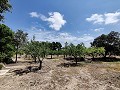 Casa de campo en Caudete in Spanish Fincas