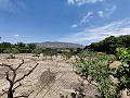 Casa de campo en Caudete in Spanish Fincas