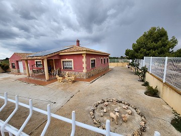 4-Schlafzimmer-Villa mit Pool