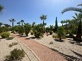 Impresionante villa en Hondón de las nieves in Spanish Fincas