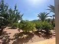 Geweldige villa in Hondon de las Nieves in Spanish Fincas