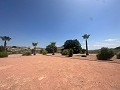 Geweldige villa in Hondon de las Nieves in Spanish Fincas