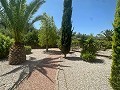 Amazing villa in Hondon de las nieves in Spanish Fincas