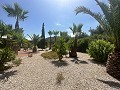 Amazing villa in Hondon de las nieves in Spanish Fincas