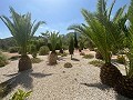 Geweldige villa in Hondon de las Nieves in Spanish Fincas