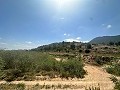 Superbe villa à Hondon de las nieves in Spanish Fincas