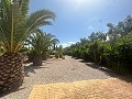 Amazing villa in Hondon de las nieves in Spanish Fincas