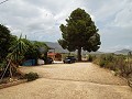 Villa met 3 slaapkamers, gastenverblijf, zwembad en garage in Spanish Fincas