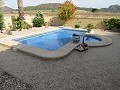 Inmaculada villa de 4/5 dormitorios con piscina privada en La Romana in Spanish Fincas