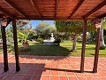 Beautiful 5 Bedroom 5 Bath Villa in Pena de Las Aguilas, Elche in Spanish Fincas