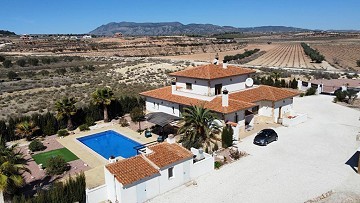 Freistehende Villa in Pinoso mit Gästeanbau und Pool