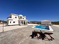 Villa neuve de luxe avec piscine et terrain in Spanish Fincas