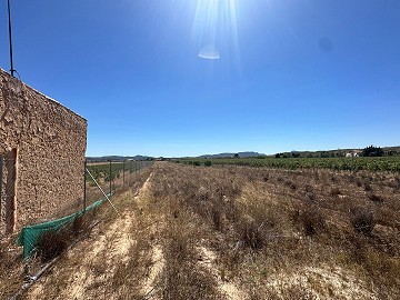 Langes 10.000 m² großes Baugrundstück in Pinoso