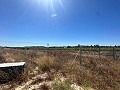 Long 10.000sqm building plot in Pinoso in Spanish Fincas