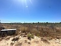 Long 10.000sqm building plot in Pinoso in Spanish Fincas