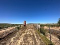 Long terrain à bâtir de 10 000 m² à Pinoso in Spanish Fincas