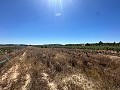 Long 10.000sqm building plot in Pinoso in Spanish Fincas