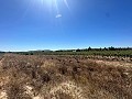 Long 10.000sqm building plot in Pinoso in Spanish Fincas